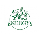 ENERGYS