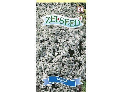 Tarica biela 0,6g Zelseed