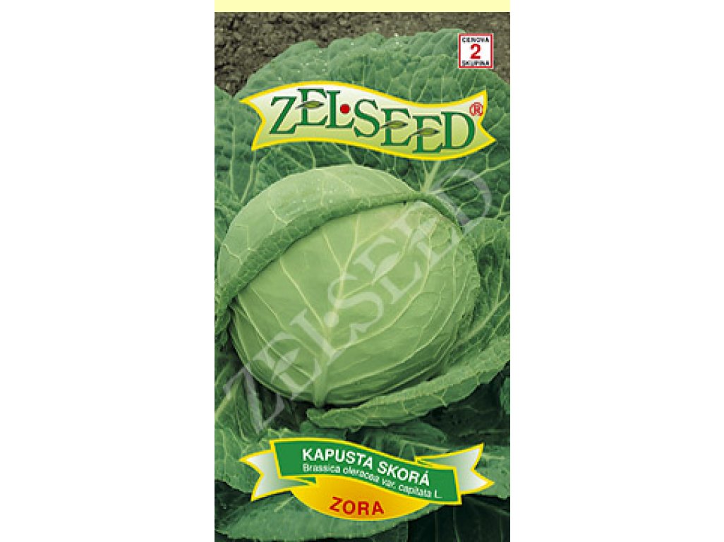 Kapusta skorá Zora 0,8g Zelseed