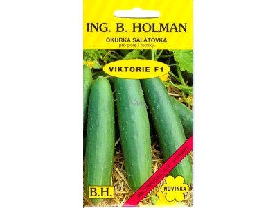 Uhorky šalátové Viktorie F1 Holman 1,5 g