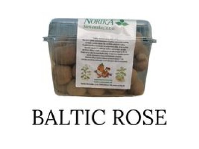 ZEMIAKY Sadbové Stredne skoré BALTIC ROSE  MINISADBA-1KG (cca 30-40ks)