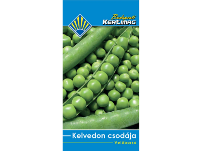 Hrach Kelvedon csodája skorý, 50-60cm 250g