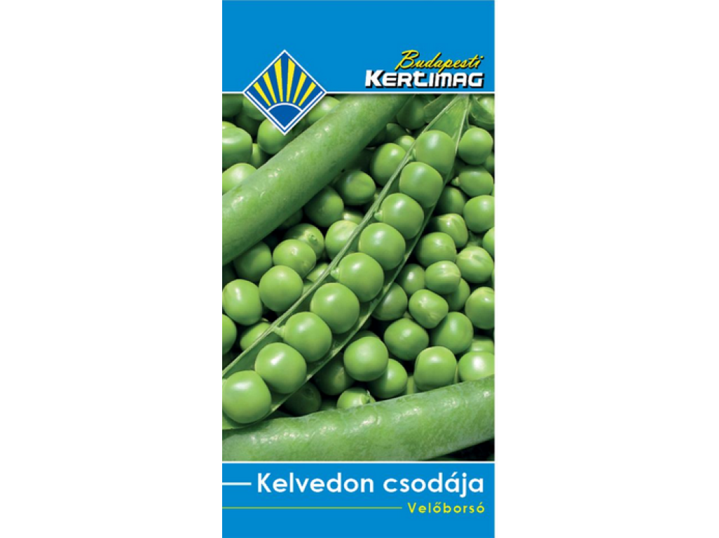 Hrach Kelvedon csodája skorý, 50-60cm 500g