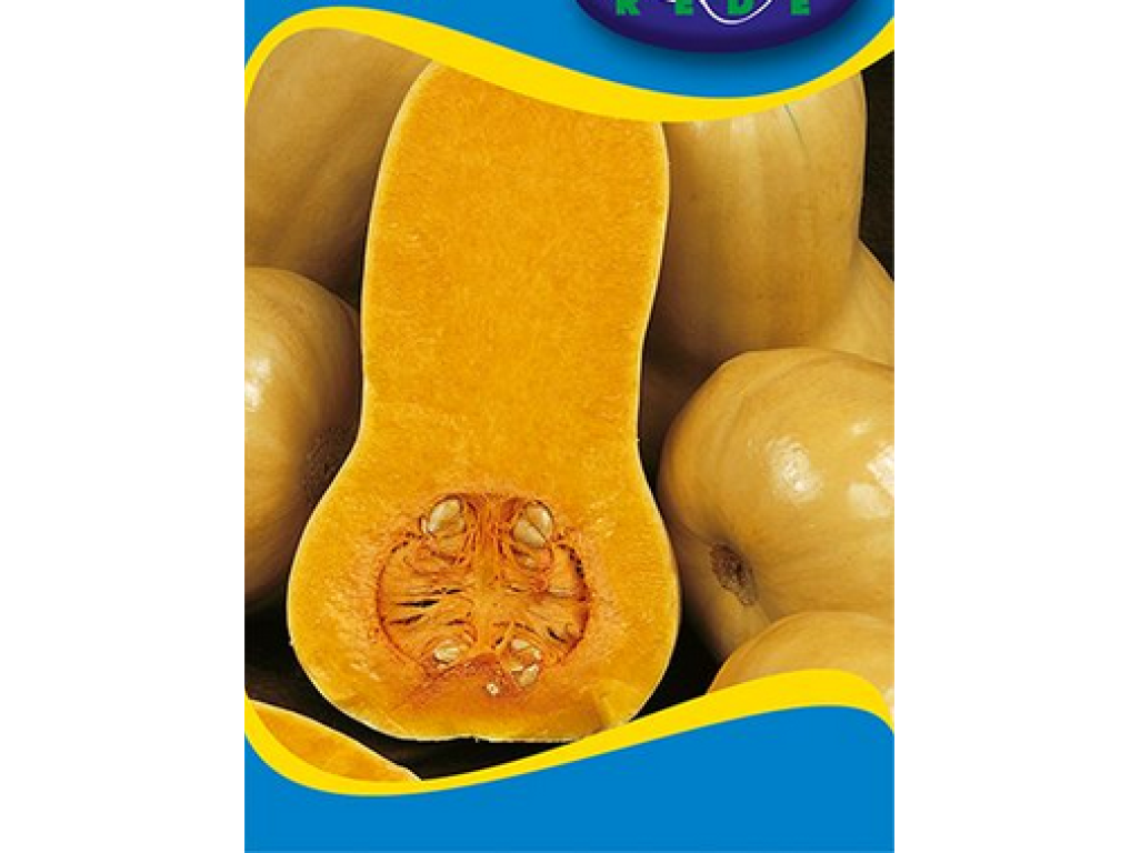 Tekvica, Orange na pečenie, 2-4kg 1g