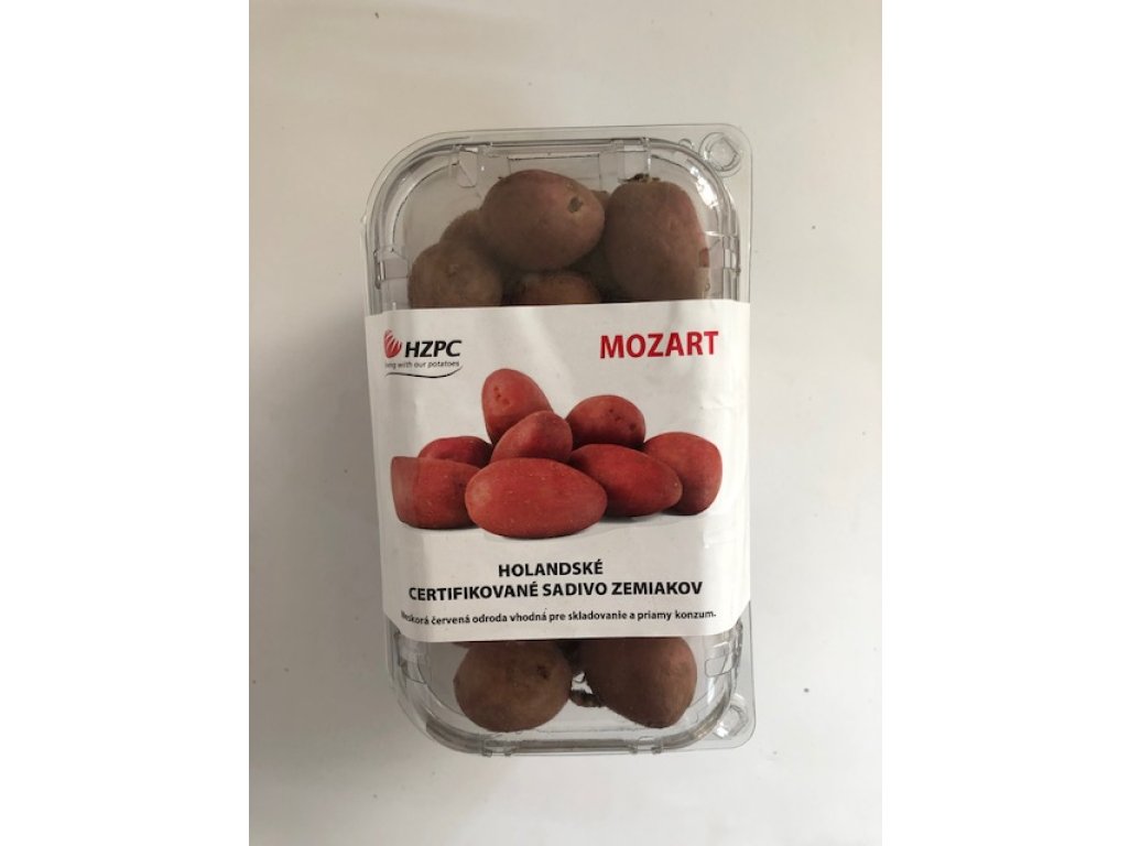 Holandské sadivo zemiakov MOZART ružiaky, stredne skorá 1KG