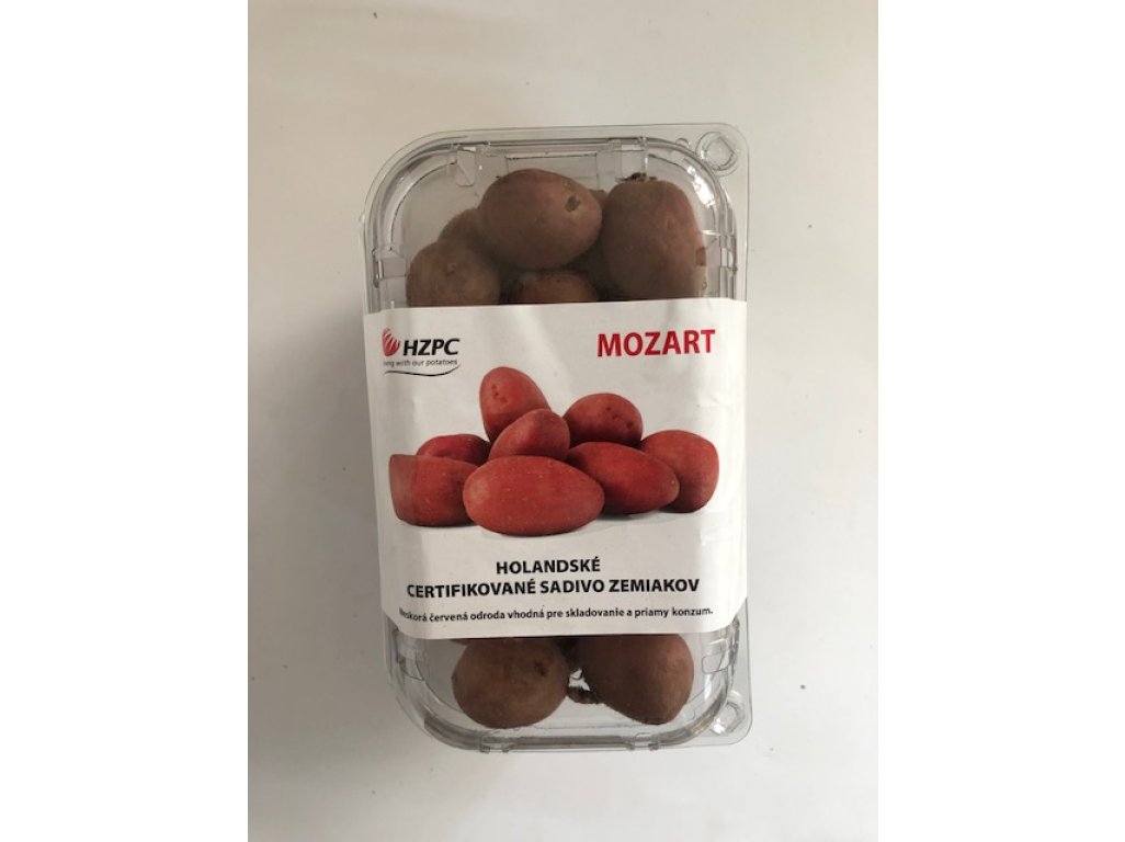 Zemiaky sadbové MOZART ružiaky, stredne skorá 1KG (cca 50ks)