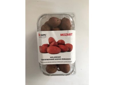 Zemiaky sadbové MOZART ružiaky, stredne skorá 1KG (cca 50ks)