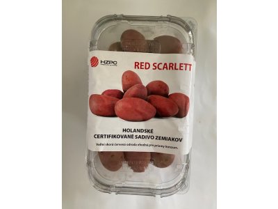 Holandské sadivo zemiakov RED SCARLETT ružiak, veľmi skorá 1 KG