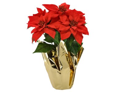 Vianočná červená ruža 39cm v zlatom obale
