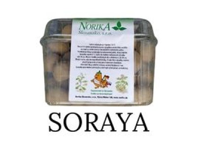 Sadbové zemiaky Soraya - minihľuzy 1kg