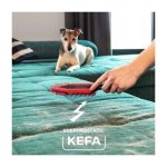 Kefa Vileda Pet Pro, elektrostatická kefa, na odstránenie chlpov domácich miláčikov