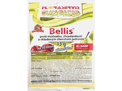 Bellis13g