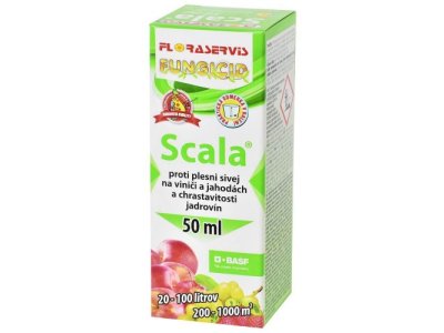 Scala 50ml