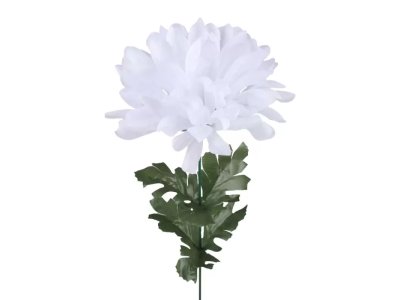 CHRYZANTÉMA stopková biela 52cm