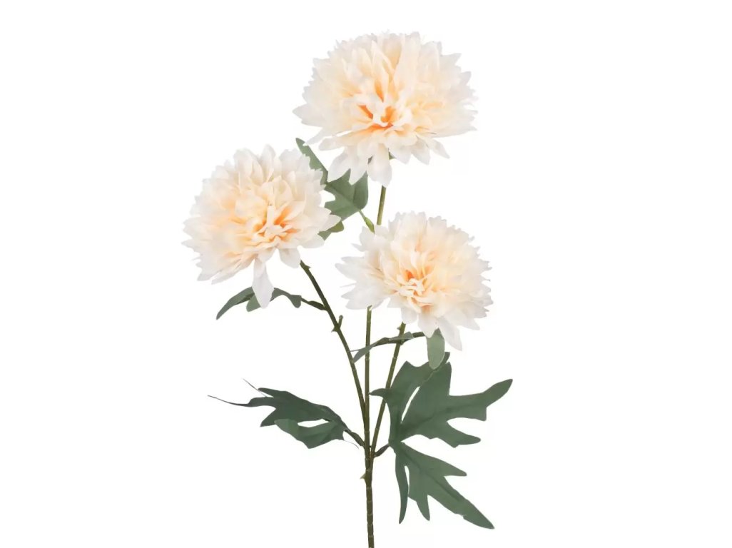 CHRYZANTEMA 3 kvet cream, 66cm