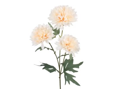 CHRYZANTEMA 3 kvet cream, 66cm