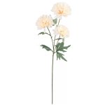 CHRYZANTEMA 3 kvet cream, 66cm