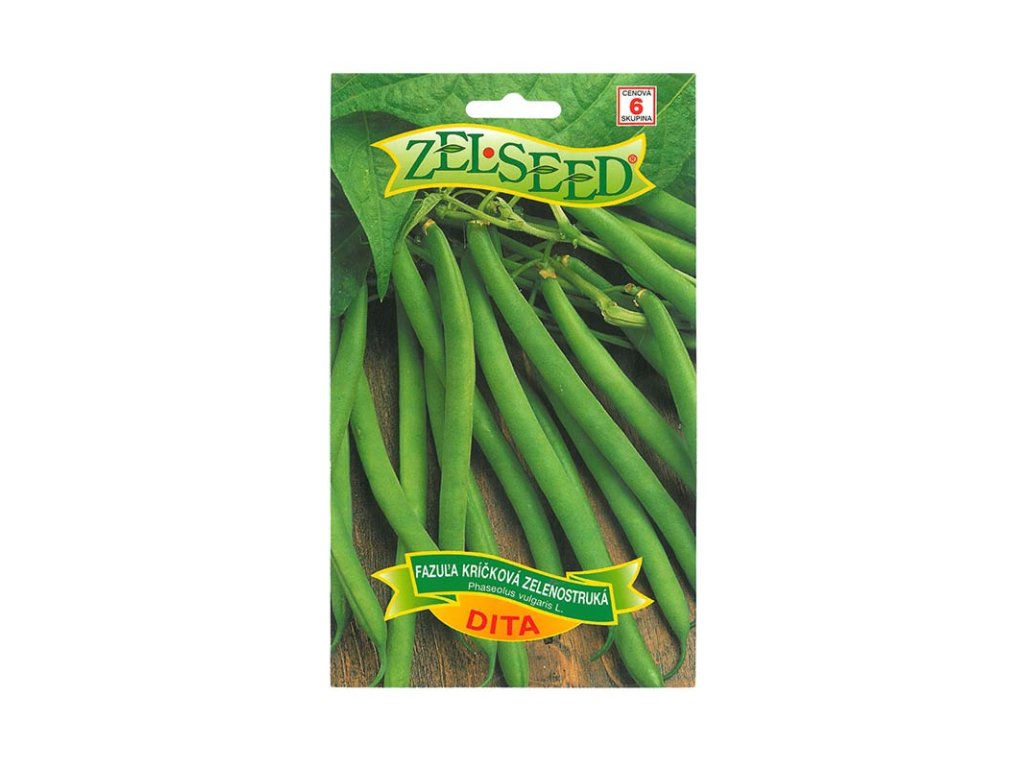 Fazuľa kríčková zelenostruká Dita 38g Zelseed