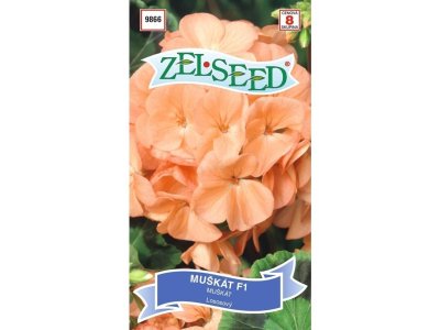 Muškát krúžkovaný lososový 8s Zelseed