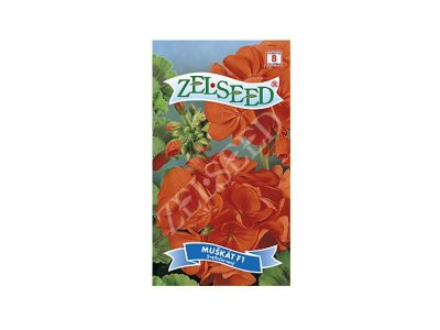 Muškát krúžkovaný svetločervený 8s Zelseed