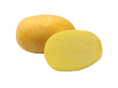Zemiaky AGRIA sadbové, stredne skoré 25KG