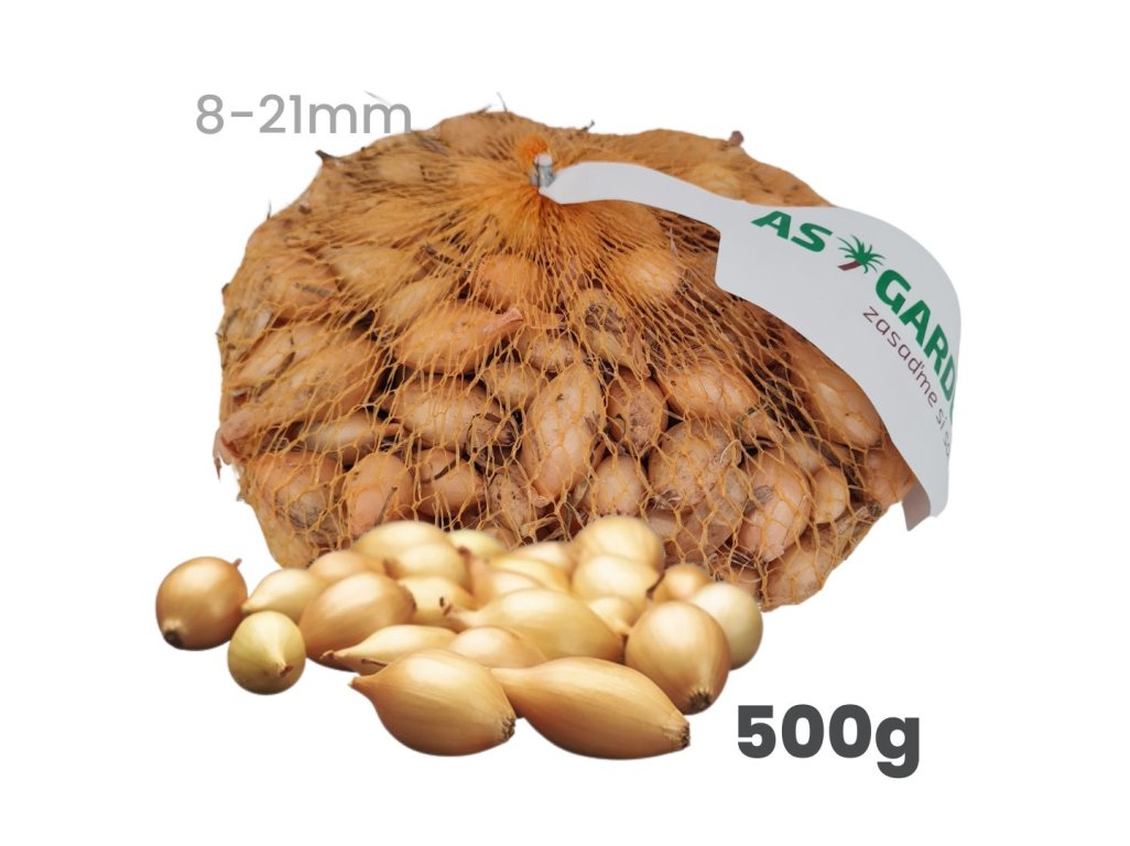 Cibuľa sadzačka SHAKESPEARE ozimná 500g 8-21mm