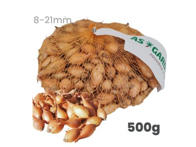 Cibuľa sadzačka SENSHYU YELLOW ozimná 500g 8-21mm