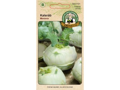 Kaleráb skorý biely MORAVIA 1,5g Tradičné osivá