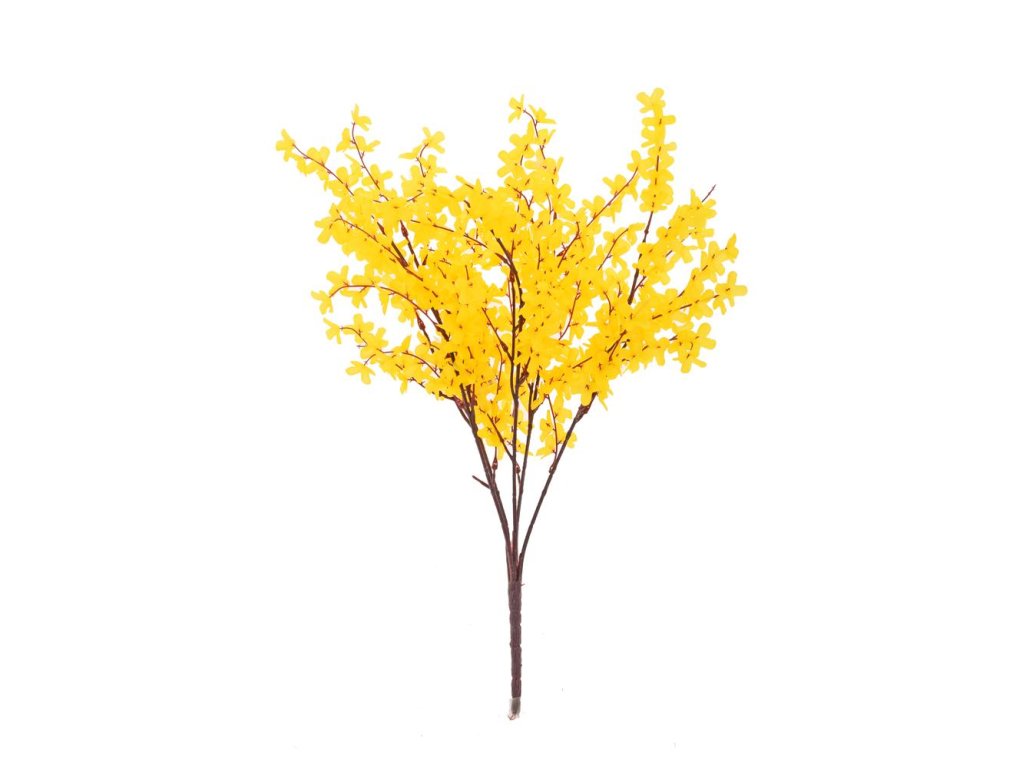 Konár ZLATÝ DÁŽĎ 53cm