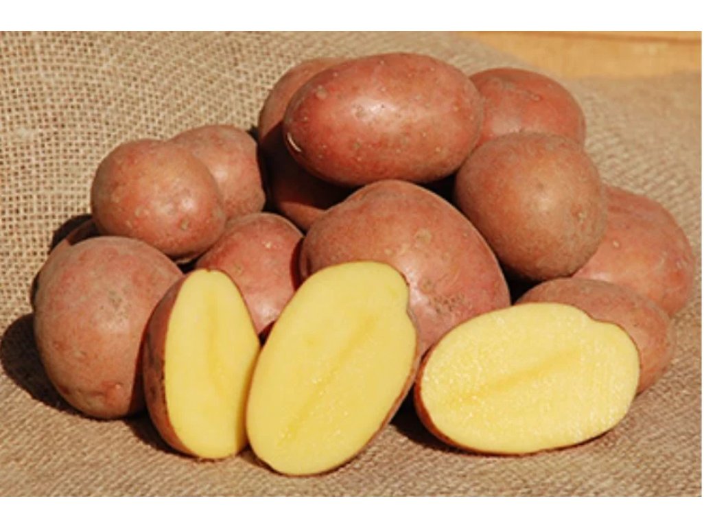 Zemiaky minisadba BIRGIT 1kg