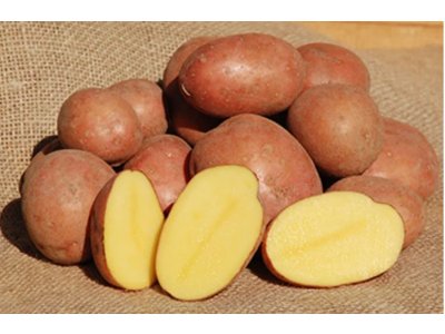 Zemiaky minisadba BIRGIT 1kg