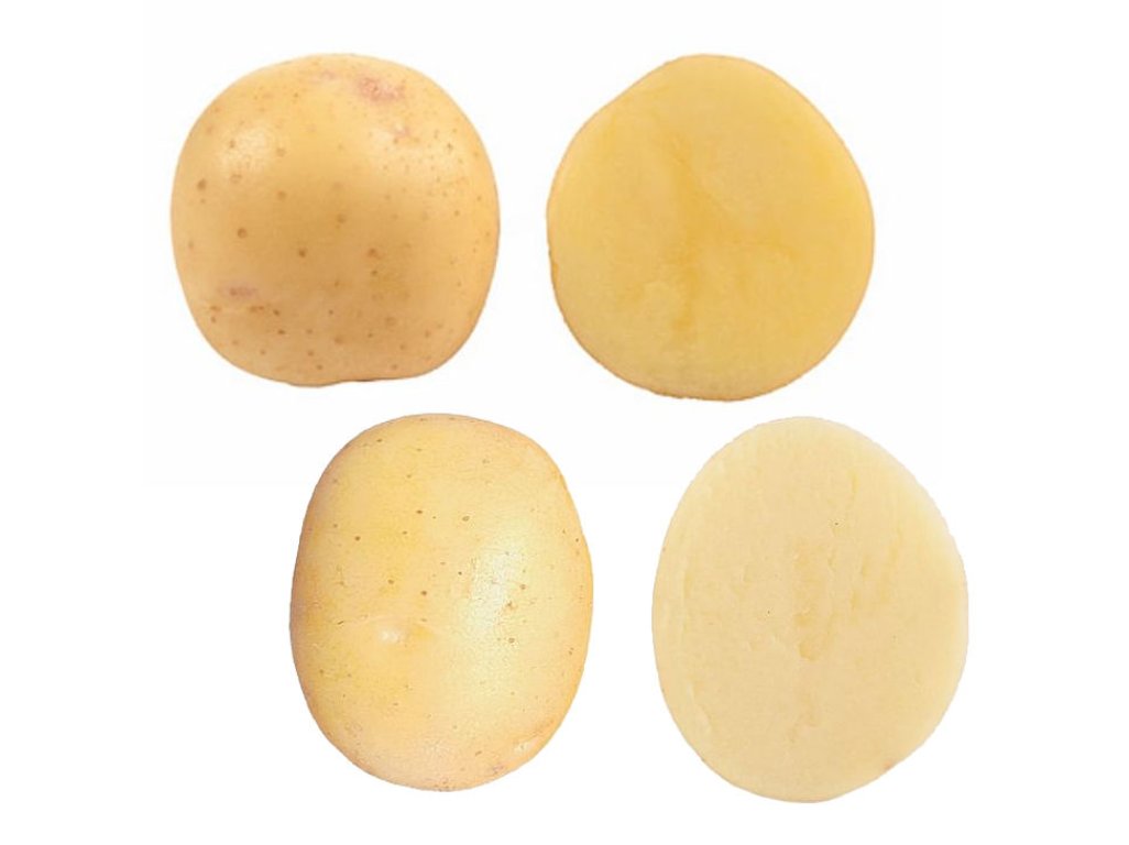 Zemiaky minisadba BELAMI 50ks 25-35mm