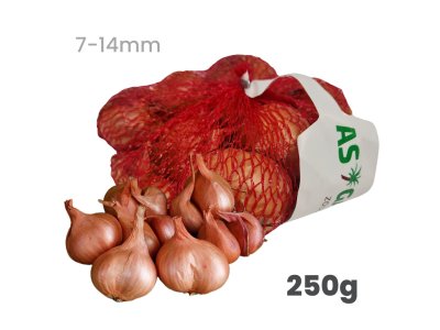 Cibuľa sadzačka ŠALOTKA RED SUN červená 250g 22-44mm