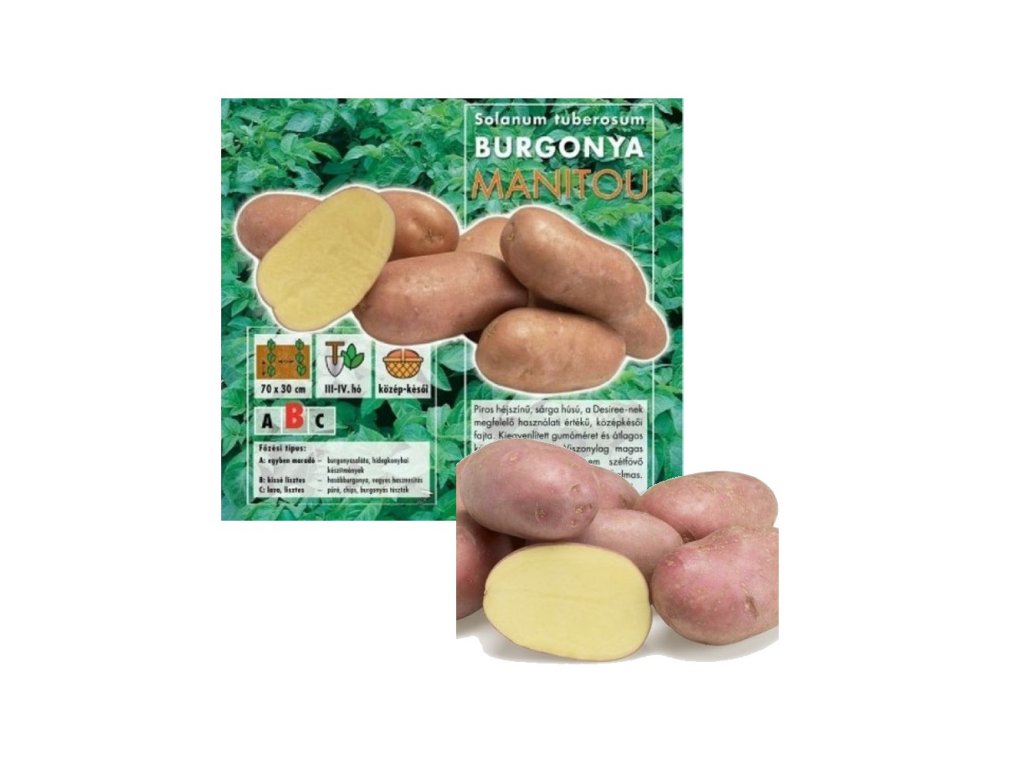 Sadbové Zemiaky minihľuzy 50ks Manitou