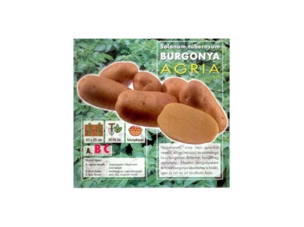 Sadivo zemiakov minihľuzy 50ks Agria