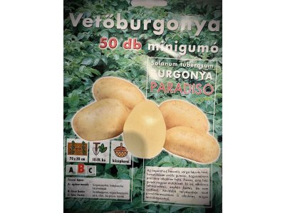 Sadivo zemiakov minihľuzy 50ks Paradiso