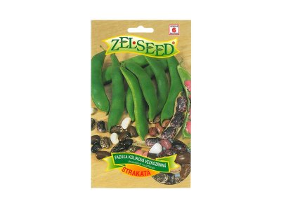 Fazuľa kolíková na vylupovanie strakatá VEĽKOZRNNÁ 38g Zelseed